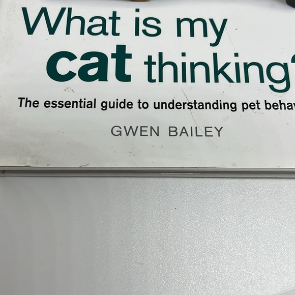What is my cat Thinking by Gwen Bailey Hardback Book - Picture 3 of 11